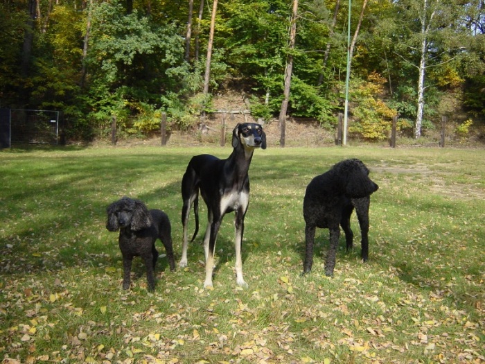 Evi + Mitraa + Hanka